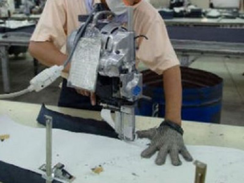 cutting 1.jpg
